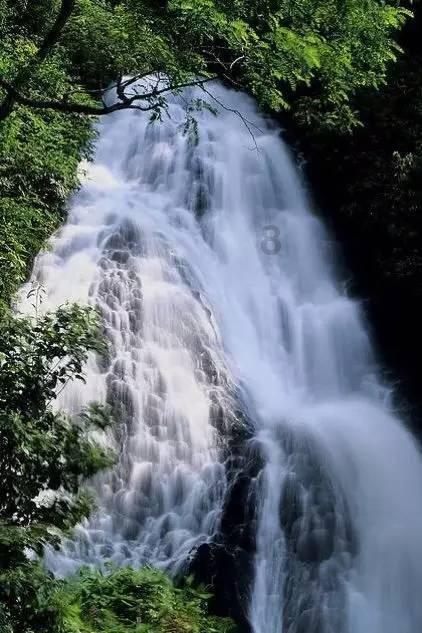 逃离绿色山谷